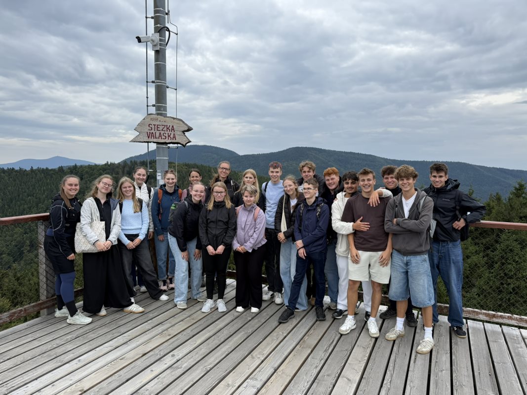 Erasmus s Brake