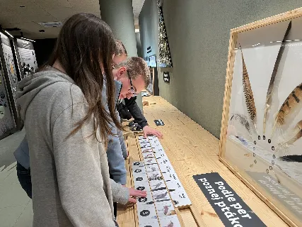 Projektová výuka v ORNISu v Přerově